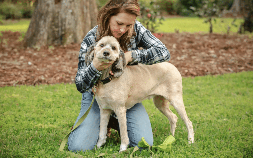 Animal Chiropractic is a Thing